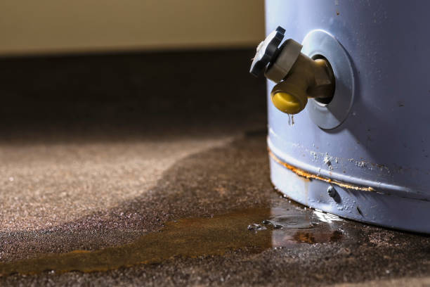 Best Professional water damage repair  in Topanga, CA