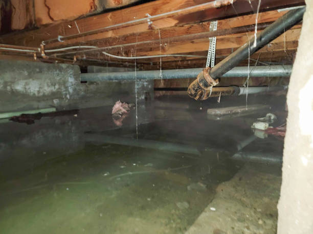 Best Fire Damage Restoration  in Topanga, CA