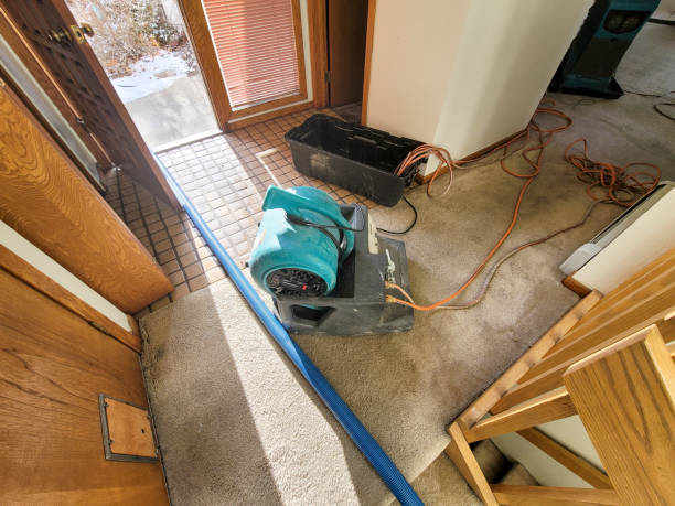 Best Water damage restoration near me  in Topanga, CA