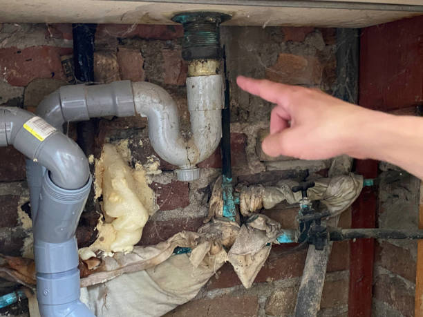Best Sewage cleanup and water damage restoration  in Topanga, CA