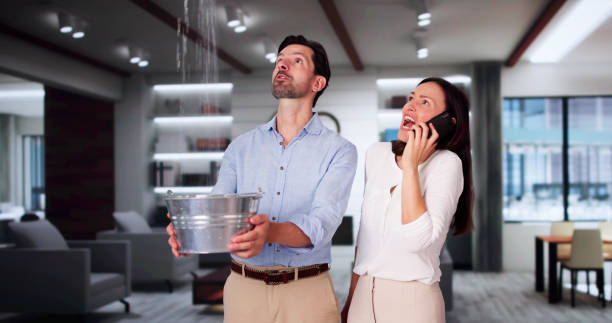 Best Water damage restoration near me  in Topanga, CA